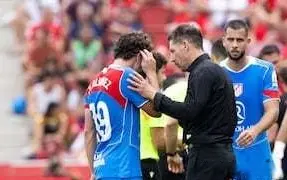 欣赏小蜘蛛 欣赏小蜘蛛