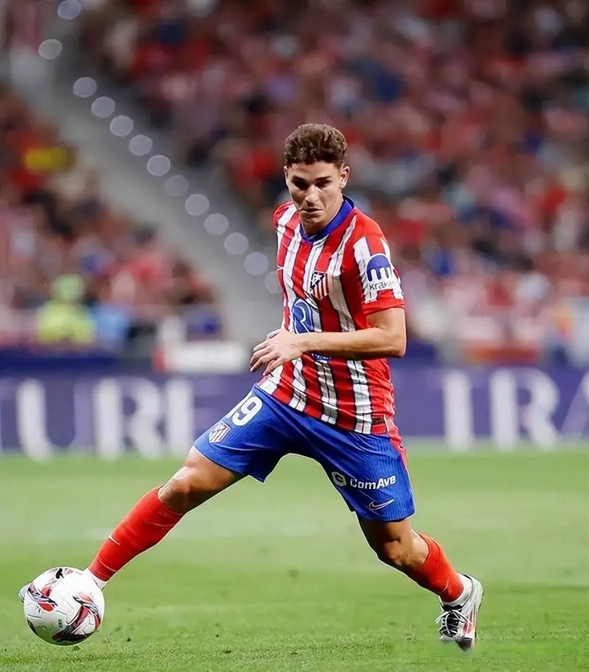 msn, tenan msn, tenan