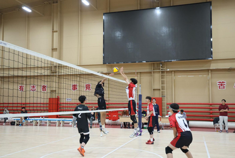 更成为培育 更成为培育